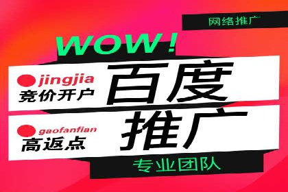 SEM运营公司案例解析：精准广告投放技巧